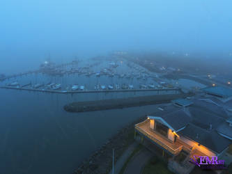 Foggy Docks