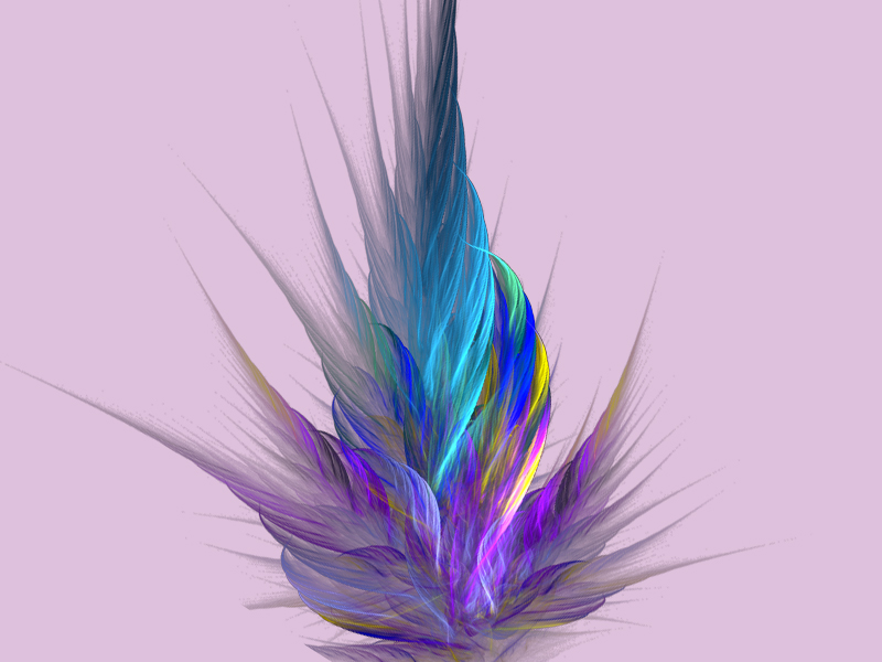 Fine Feathers