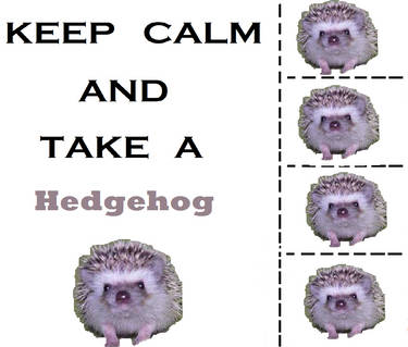 Keep Calm and Take a Hedgehog