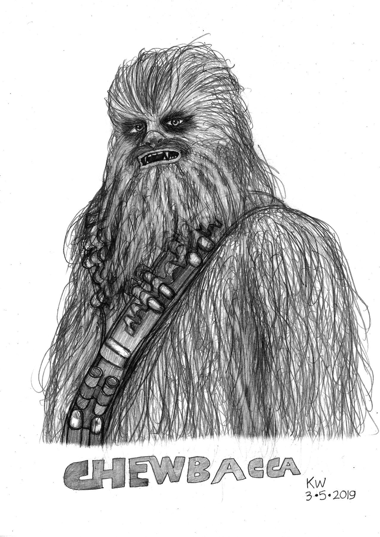 Unique Draw Chewbacca Sketch for Beginner