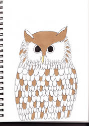 owl