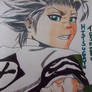 Toshiro Hitsugaya