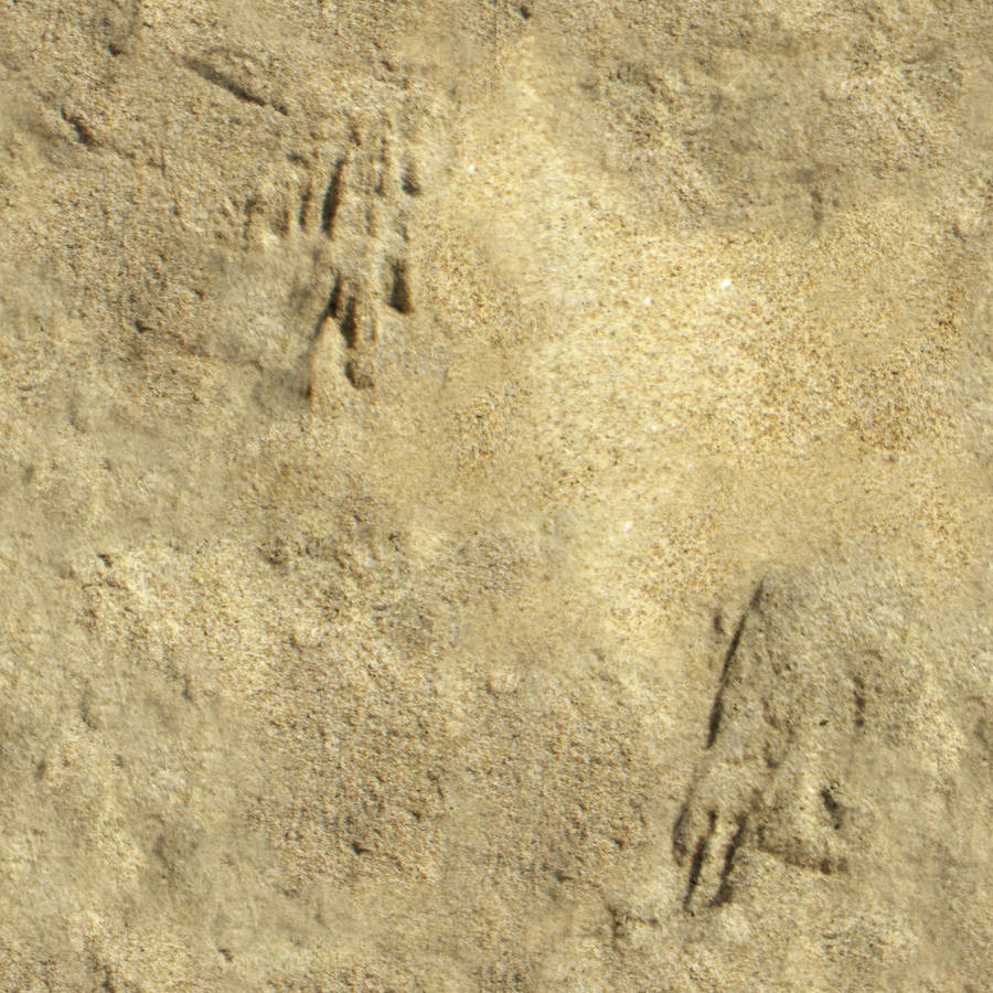 Seamless_Sand_0001 by JamesPodesta91
