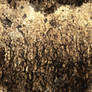 Random_Texture_0002