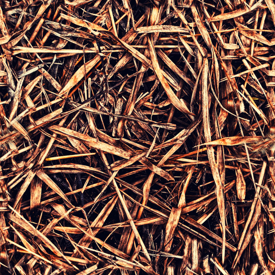 Dead Grass 0001 By JamesPodesta91 On DeviantArt dead-grass-0001-by-jamespodesta91-on-deviantart