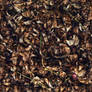 Brittle_Autumn_Ground_Texture_Seamless