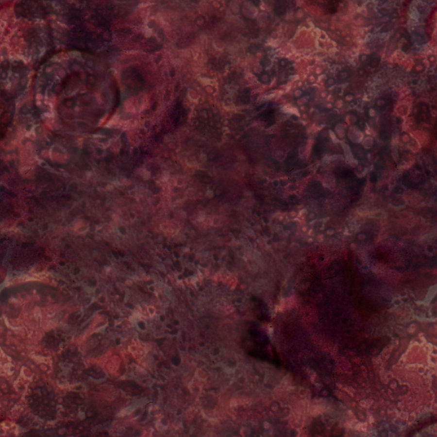 Seamless_Monster_Flesh_0001 by JamesPodesta91