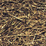 Dead_Grass_0002