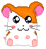 Hamtaro