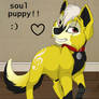 Soul Evans as a puppy :D