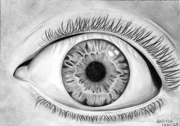 Eye