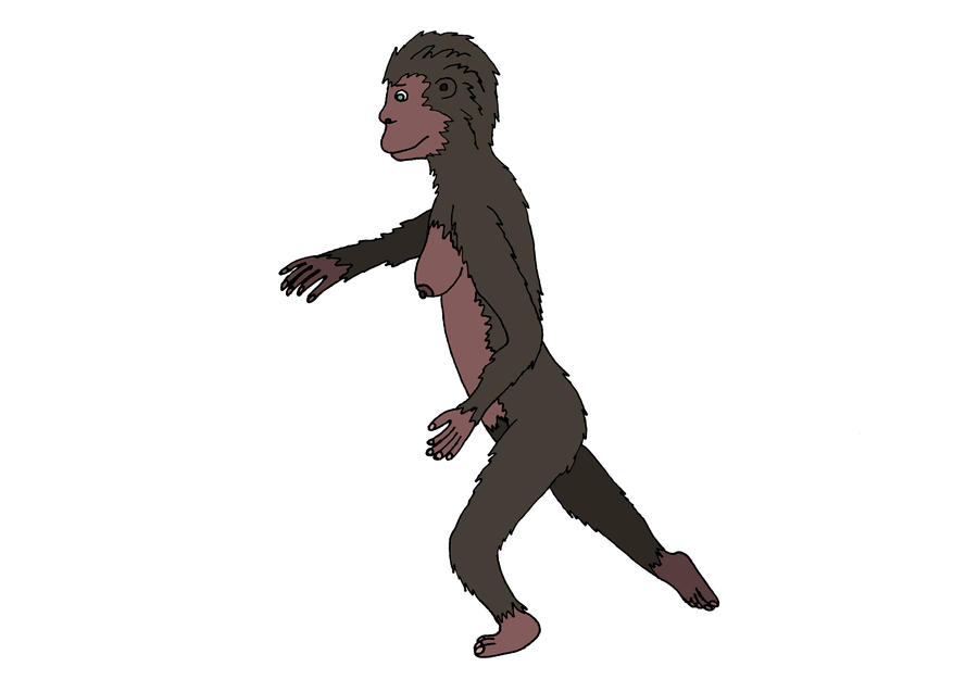 Evolution Humans Cut Out Human Evolution 6 by RichardElder on DeviantArt