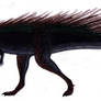 Colepiocephale