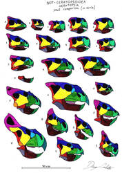 Not-Ceratopsoidea Ceratopsia skull comparison