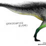 Orkoraptor