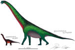 Brachiosaurus and Europasaurus
