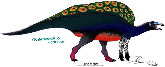 Peacock Ouranosaurus