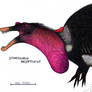 Marabou Spinosaurus