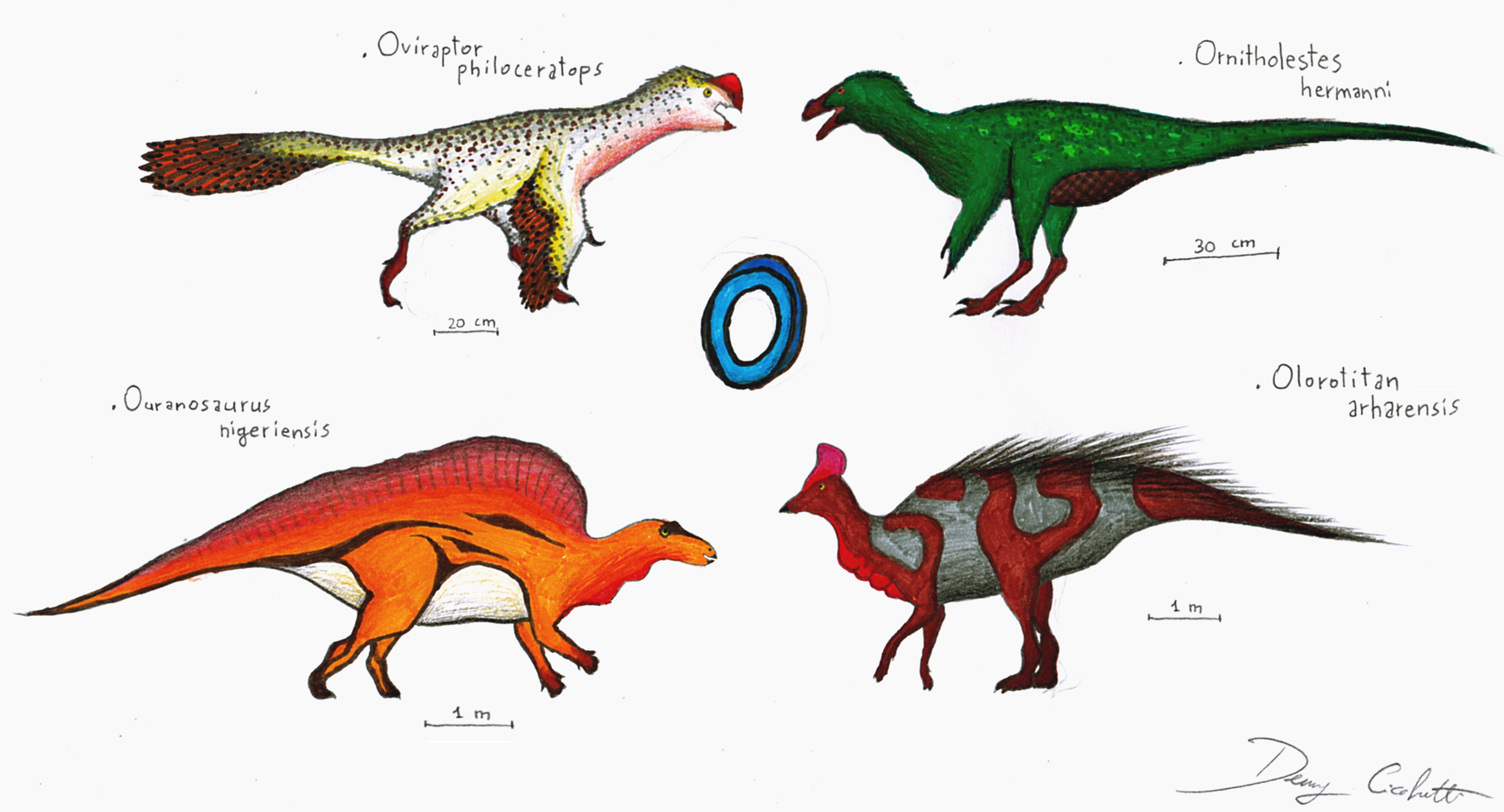 The Dinosaur Alphabet: O