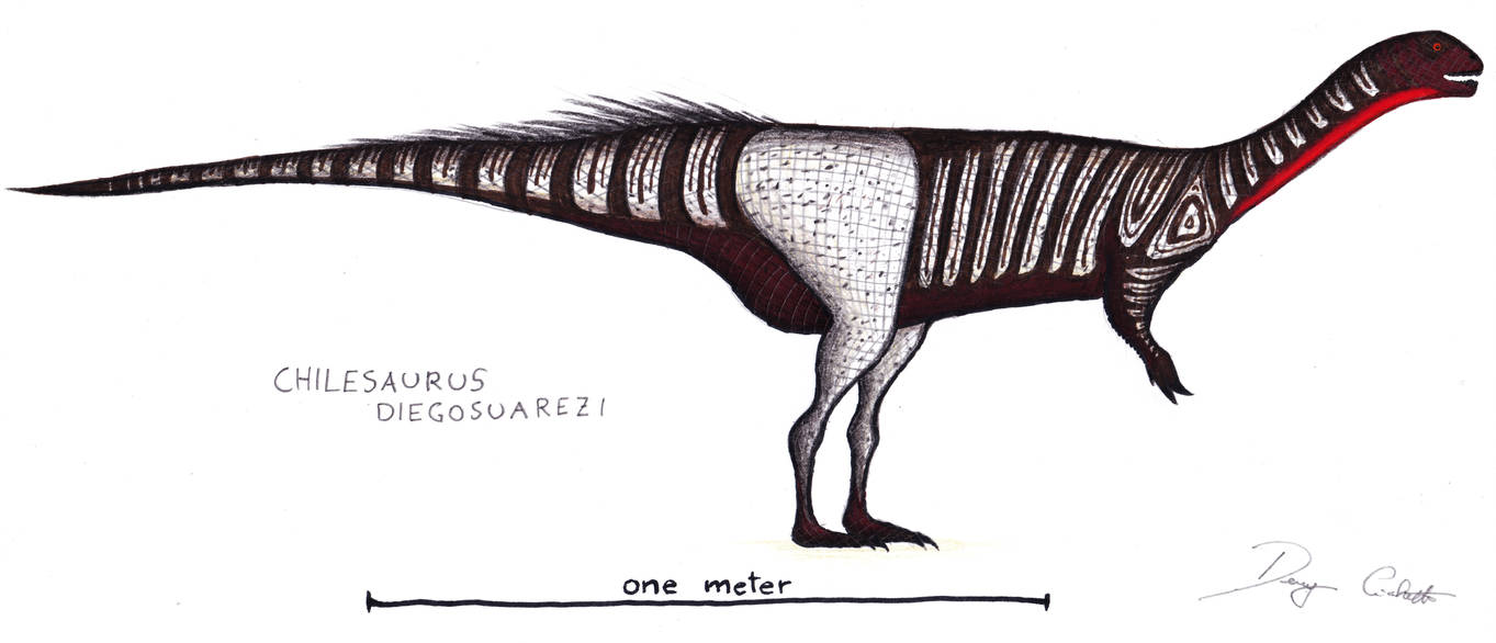 Chilesaurus by Dennonyx on DeviantArt