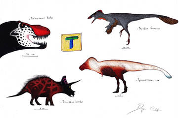 The Dinosaur Alphabet: T