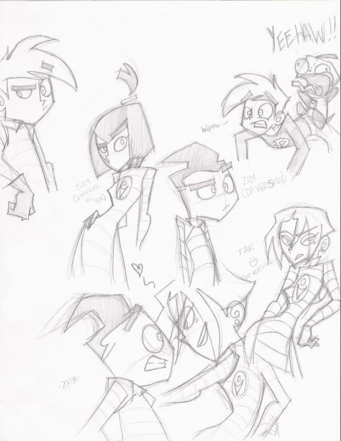 ZIM Phantom -sketch-