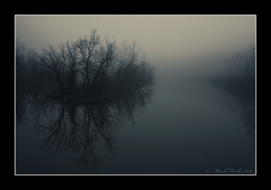 Foggy Trees 2