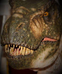 Buck T.rex close up.