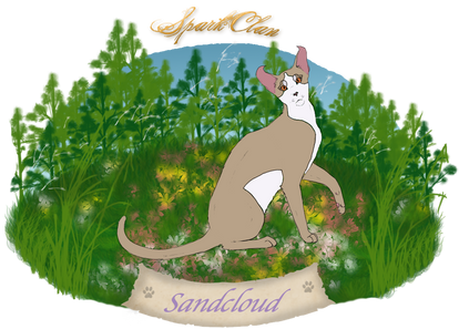 Sandcloud of Sparkclan [NPC]