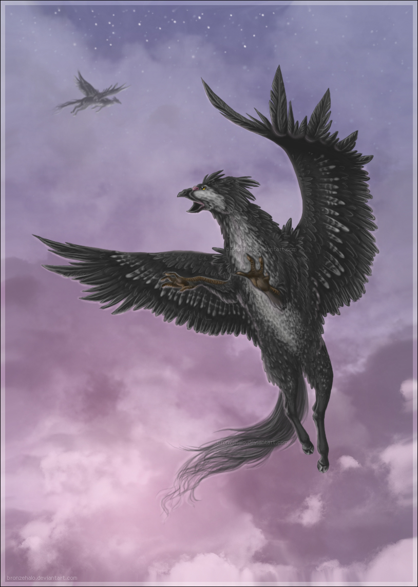 Griffon