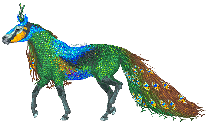 Pavo Equus