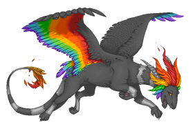 Rainbow Ride