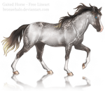 Free lineart: Gaited horse