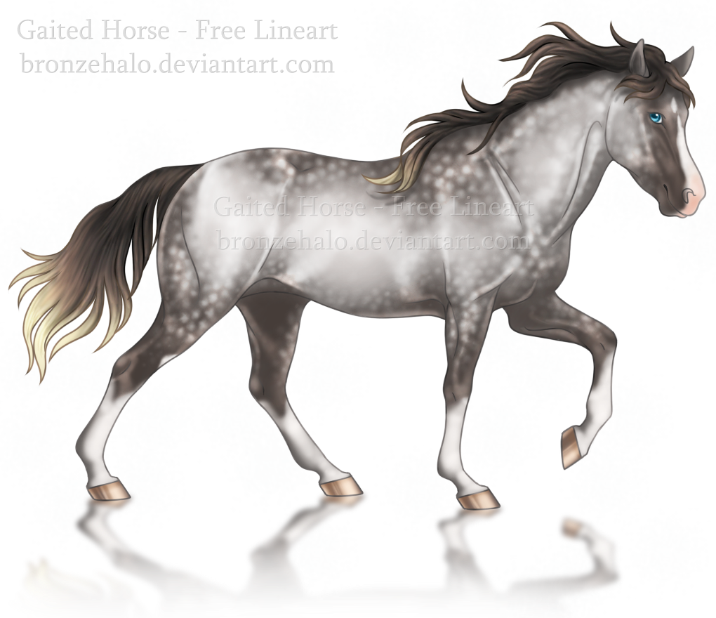 Free lineart: Gaited horse