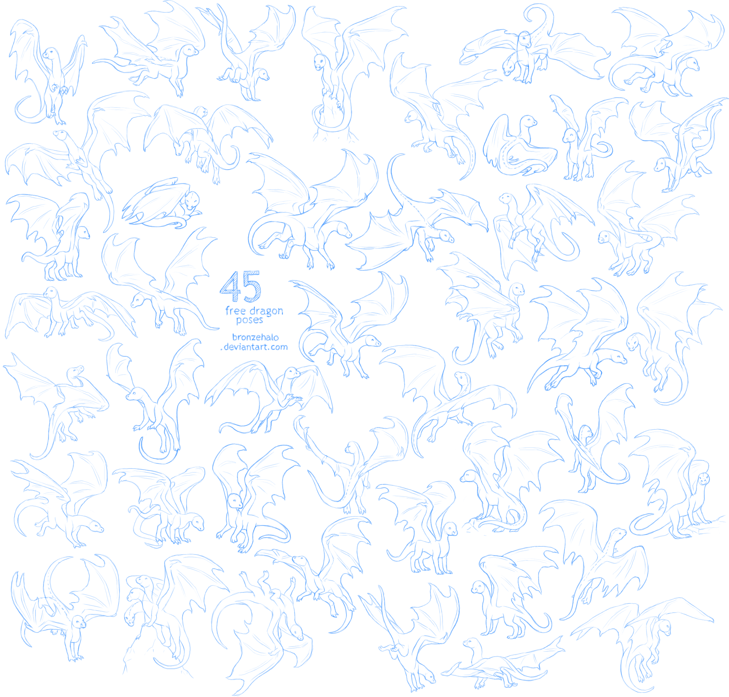 Free dragon poses