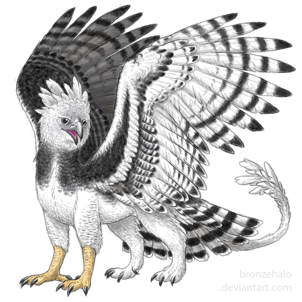 Harpy Eagle griff