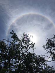 Solar Halo