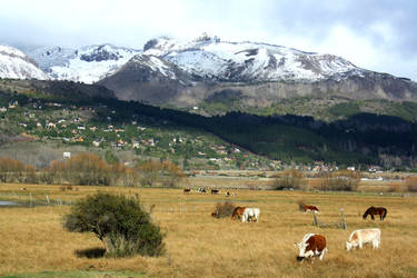 Countryside at San Martin de los Andes