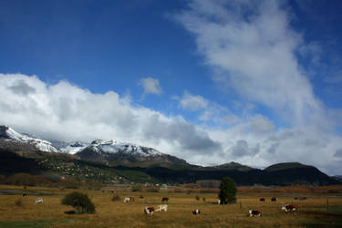 Andean serene fields