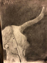 Charcoal Sketch: Bull Skull