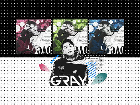 [04022017] CALLMEGRAY (AOMG)