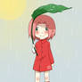 sakura in the rain