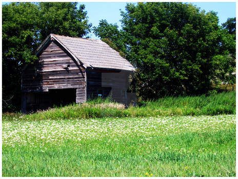 Shack in NJ