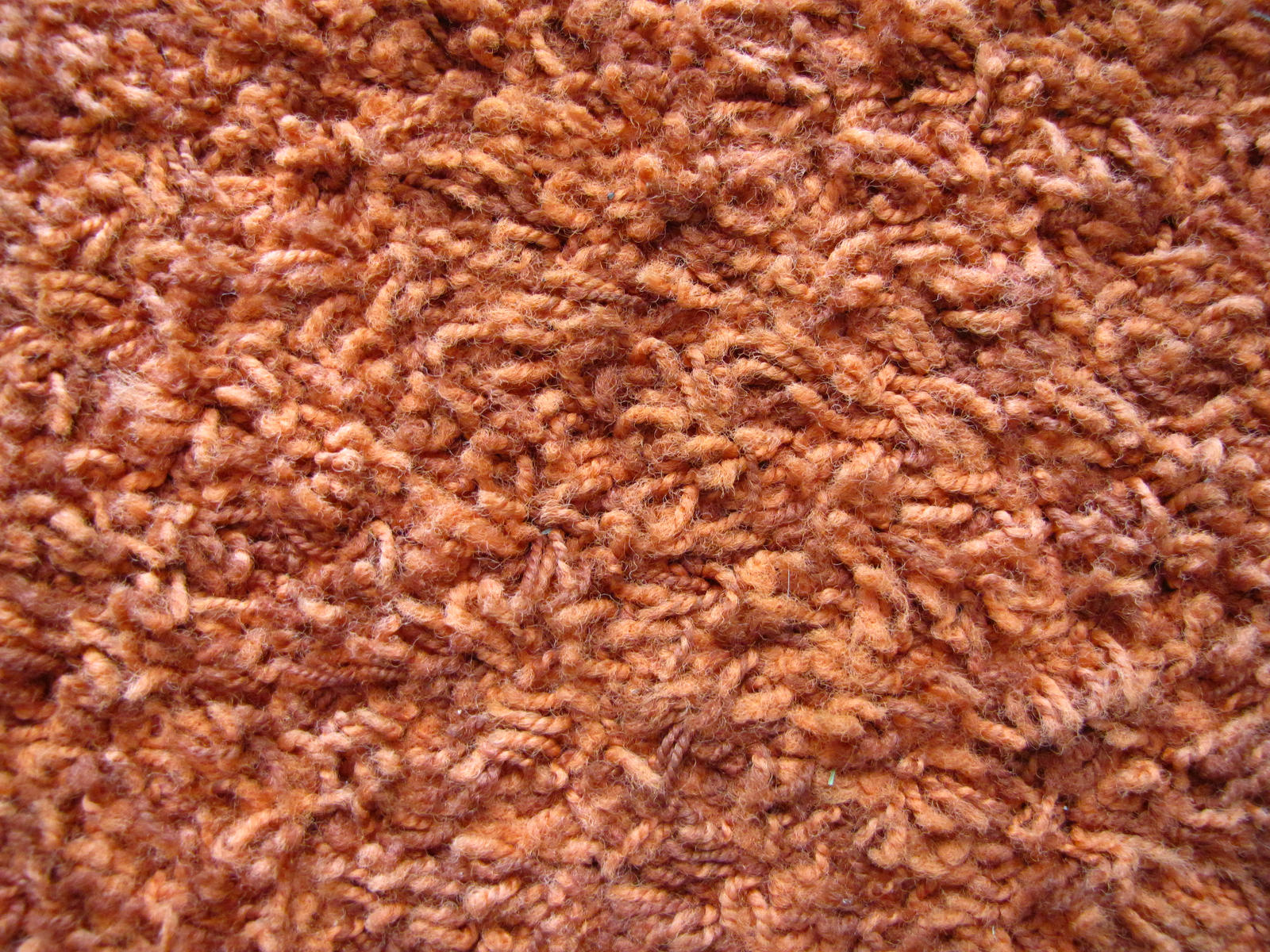 Shag Carpet