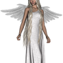 Angel 1