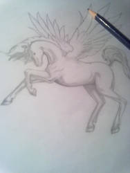 Pegaso