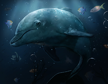 Dolphin sketch (live now)