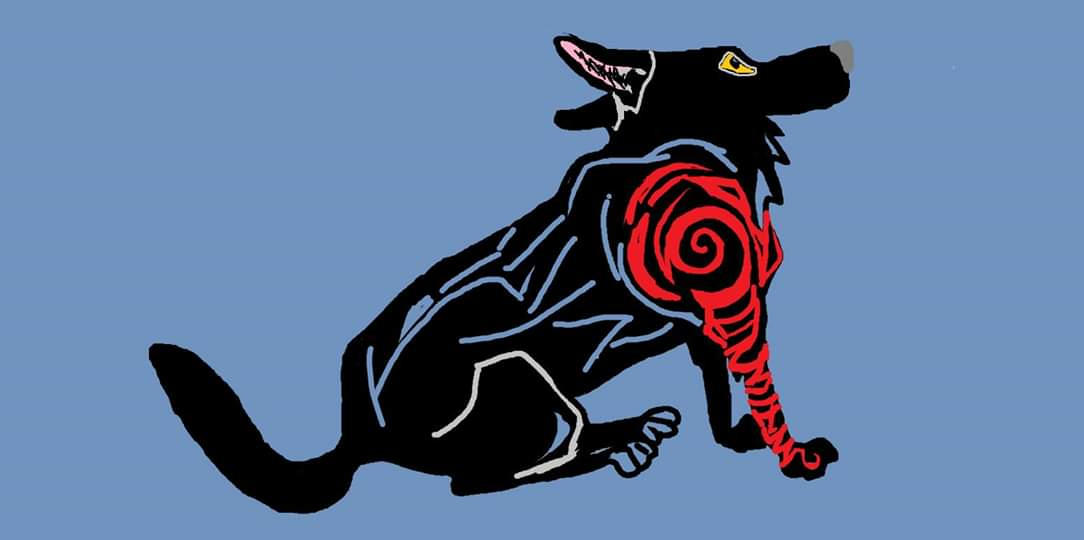 Rauri by Wolfwriter20 on DeviantArt