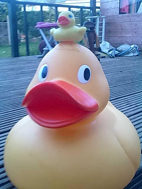 Ducki And Duckzilla by XxKaitlyn-MaryJane on DeviantArt