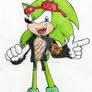 Scourge the Hedgehog colored